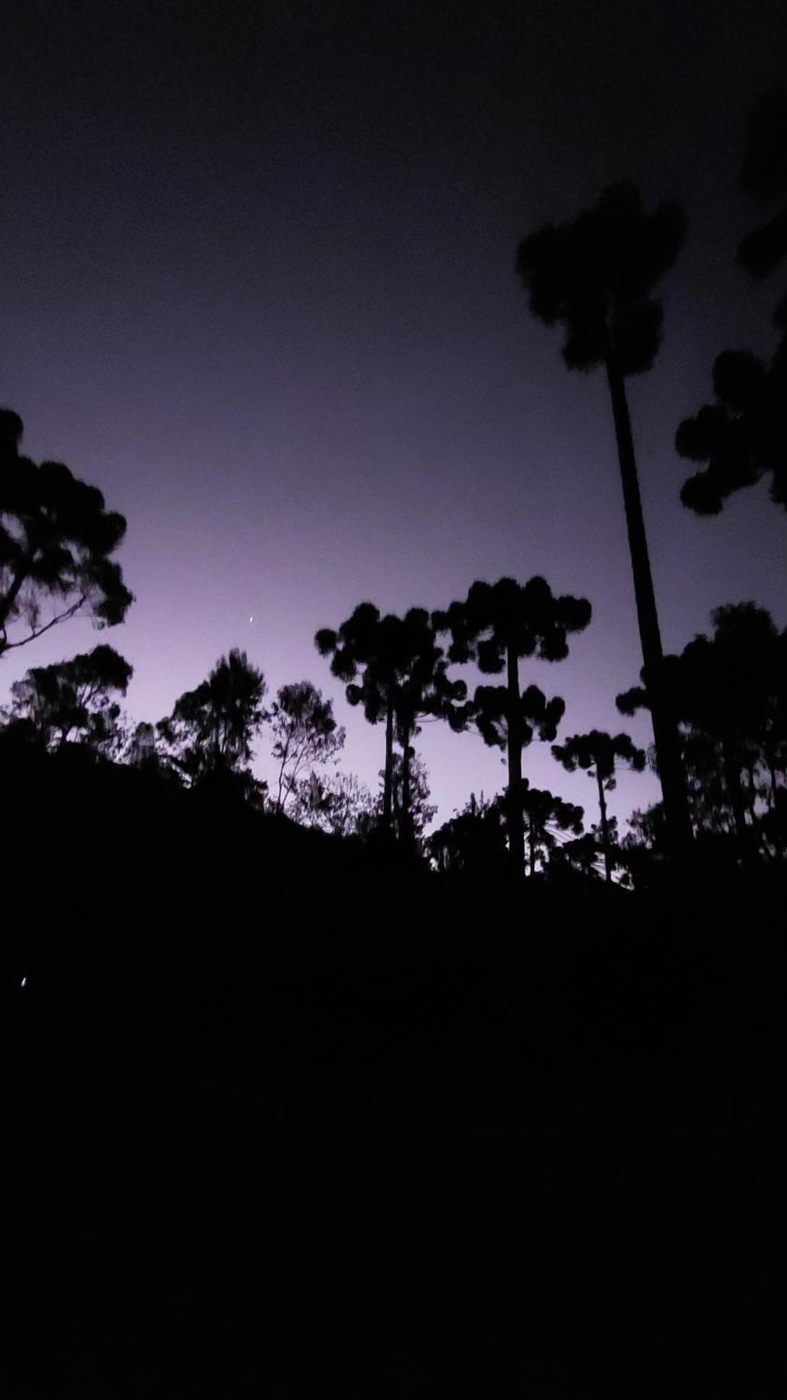Chales Fora De Estrada Campos do Jordão Exteriér fotografie