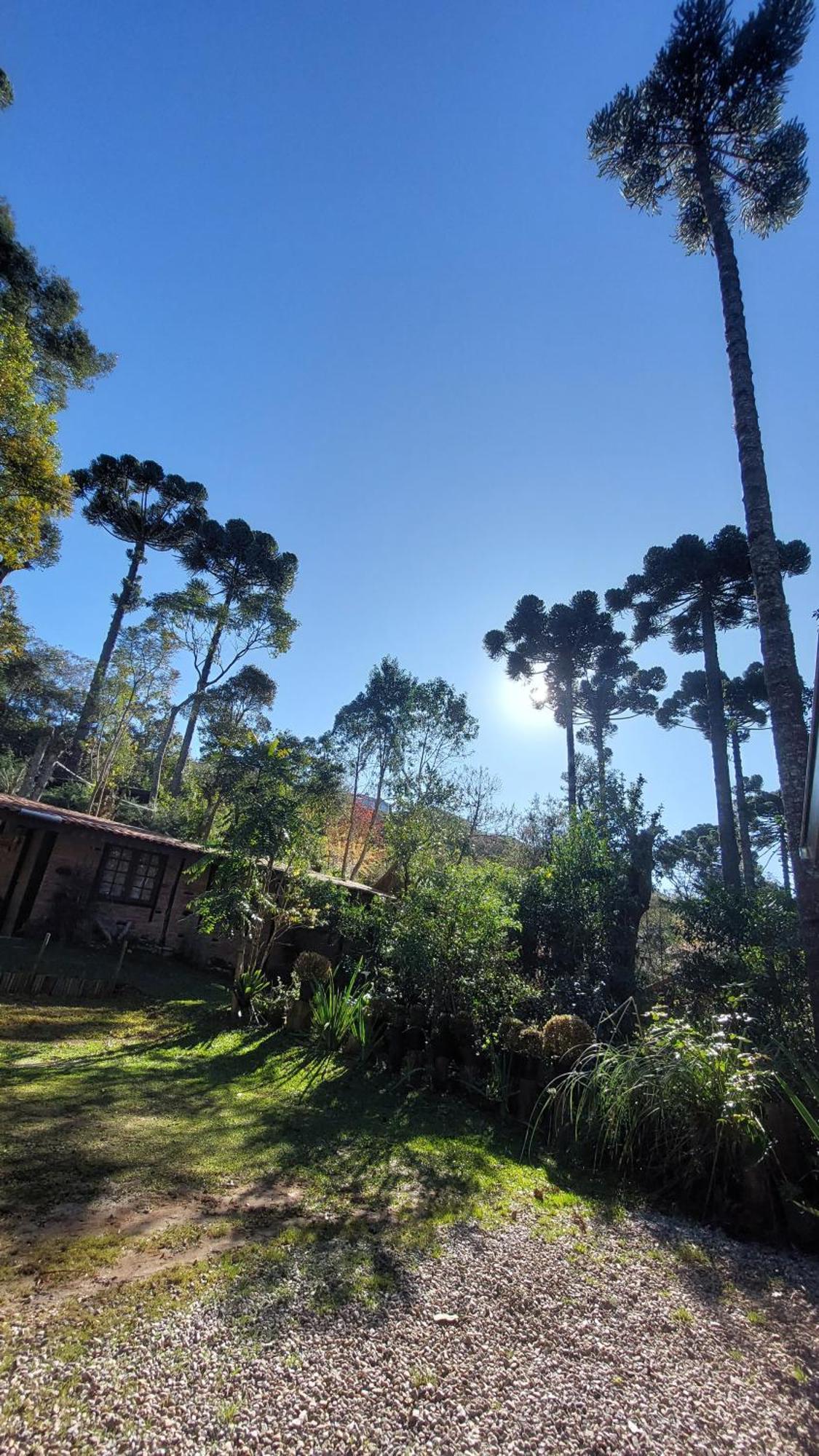 Chales Fora De Estrada Campos do Jordão Exteriér fotografie