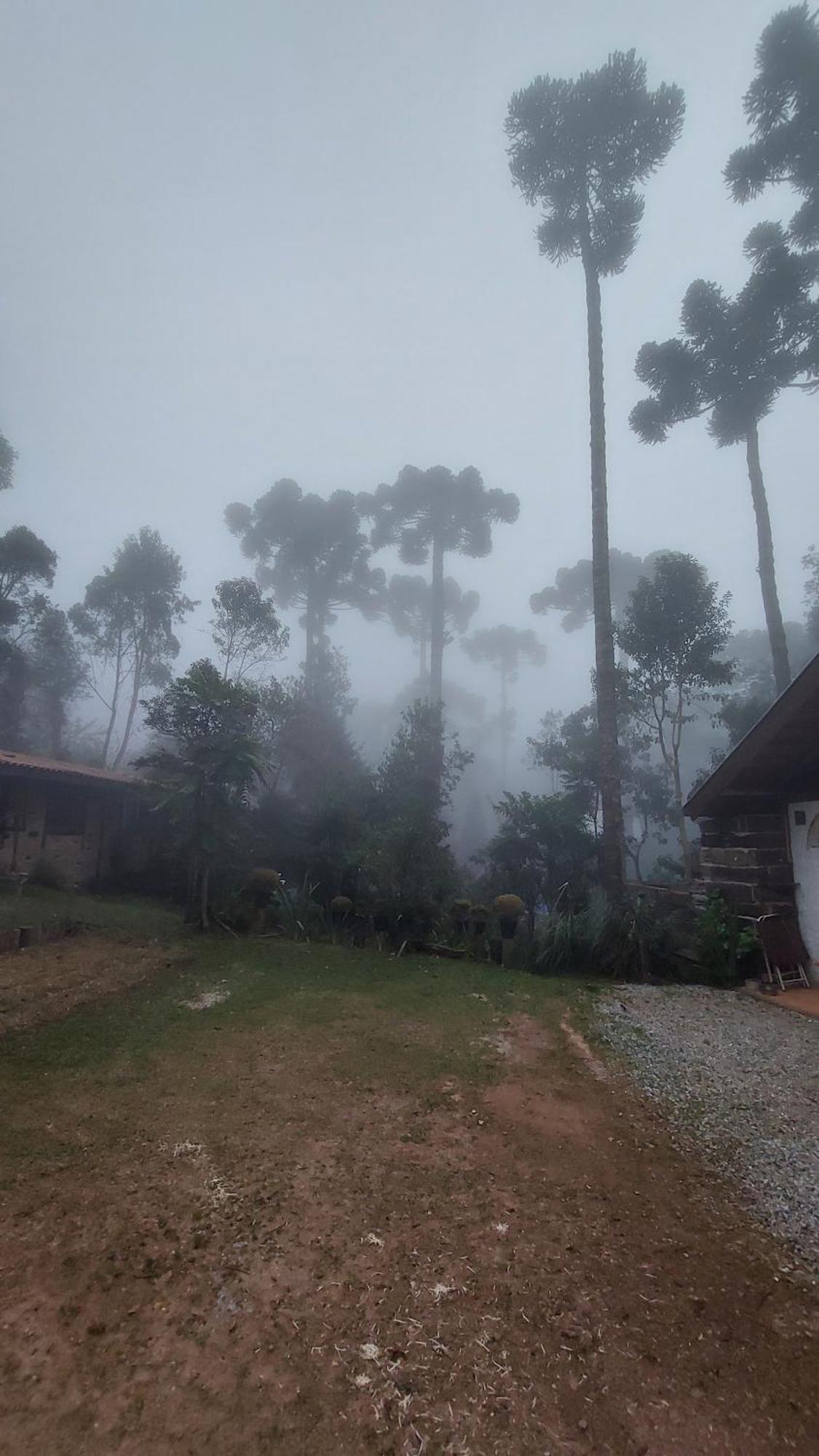 Chales Fora De Estrada Campos do Jordão Exteriér fotografie
